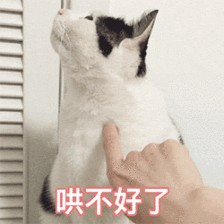 你们觉得猫咪会记仇吗